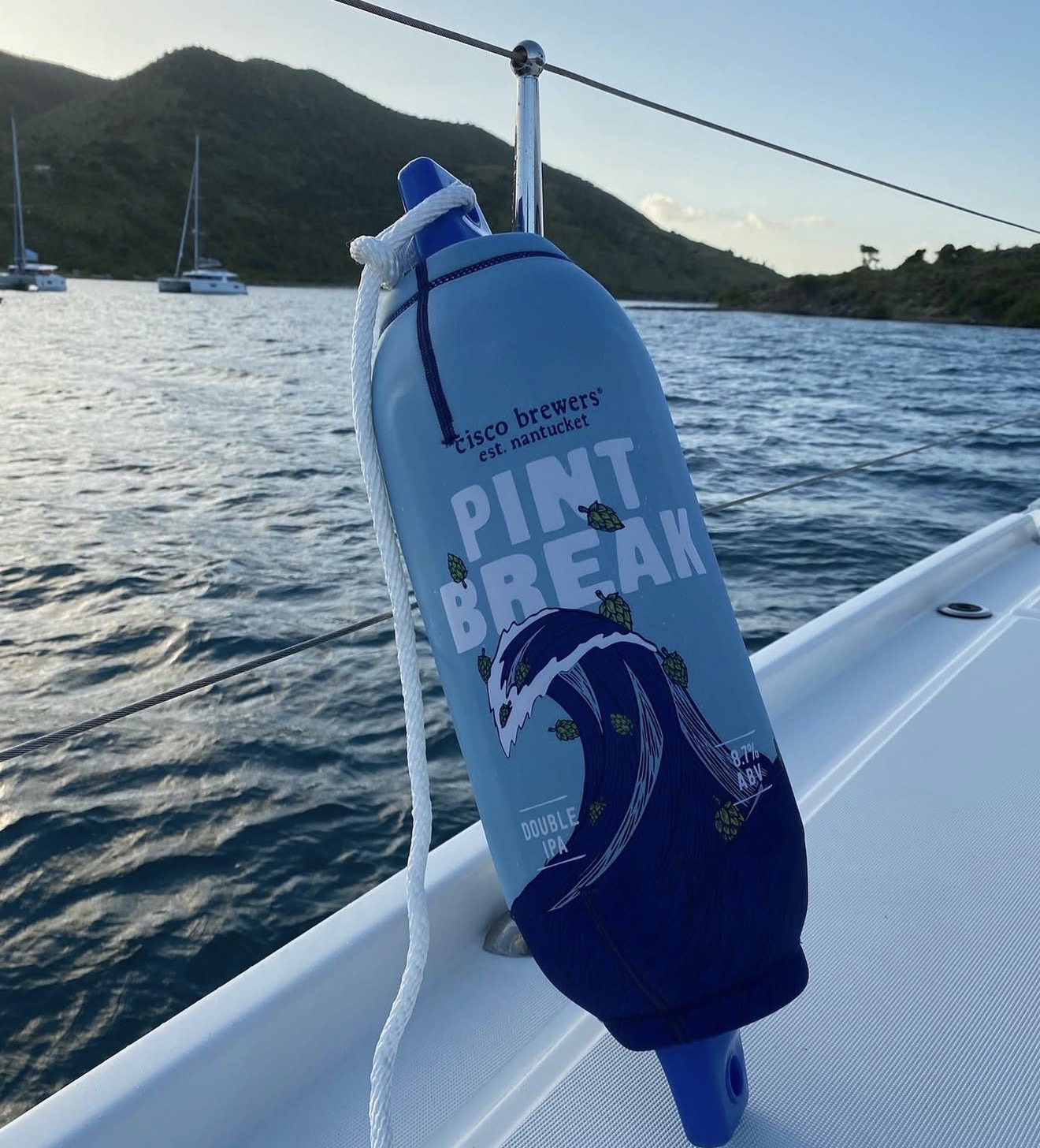 Bold graphic custom boat fender cover design