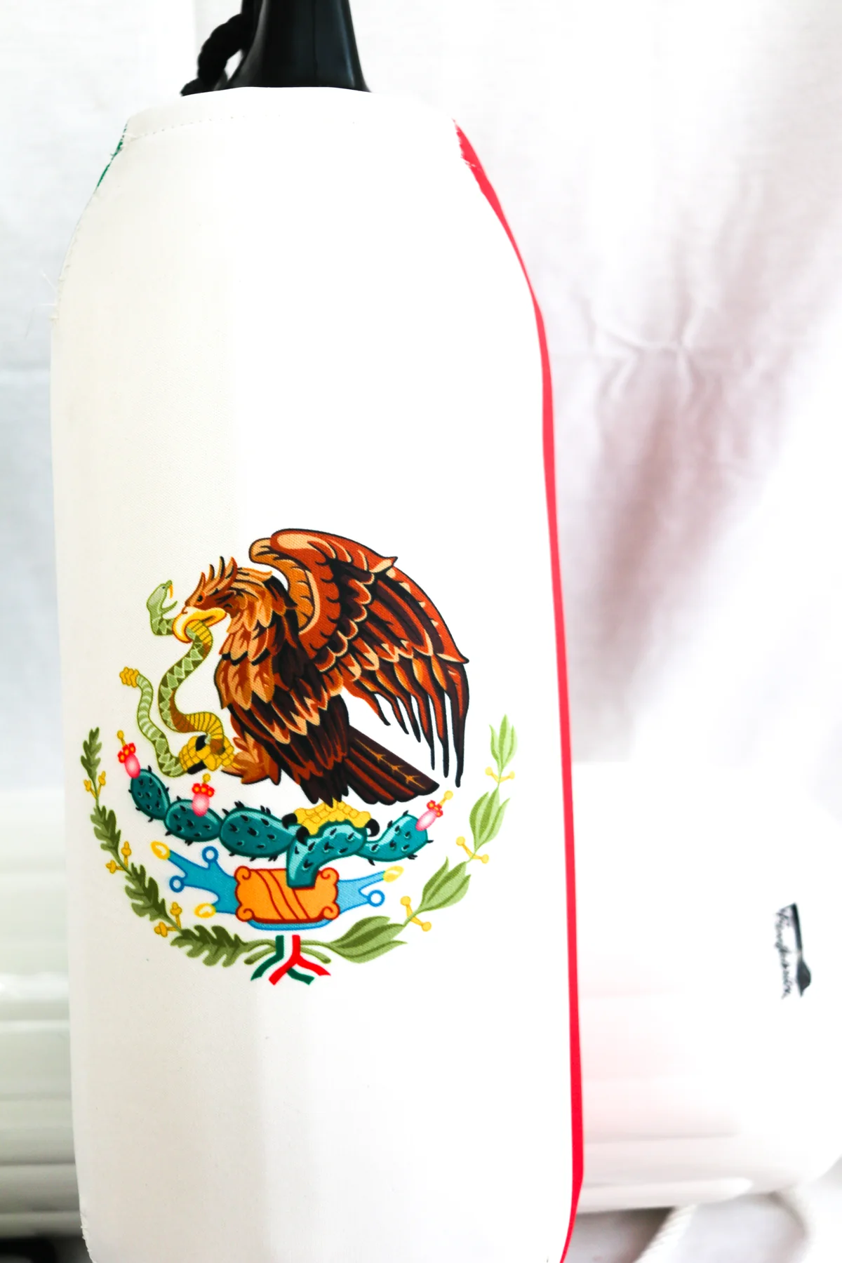 Mexico eagle-and-serpent artwork custom FenderSox displayed against white